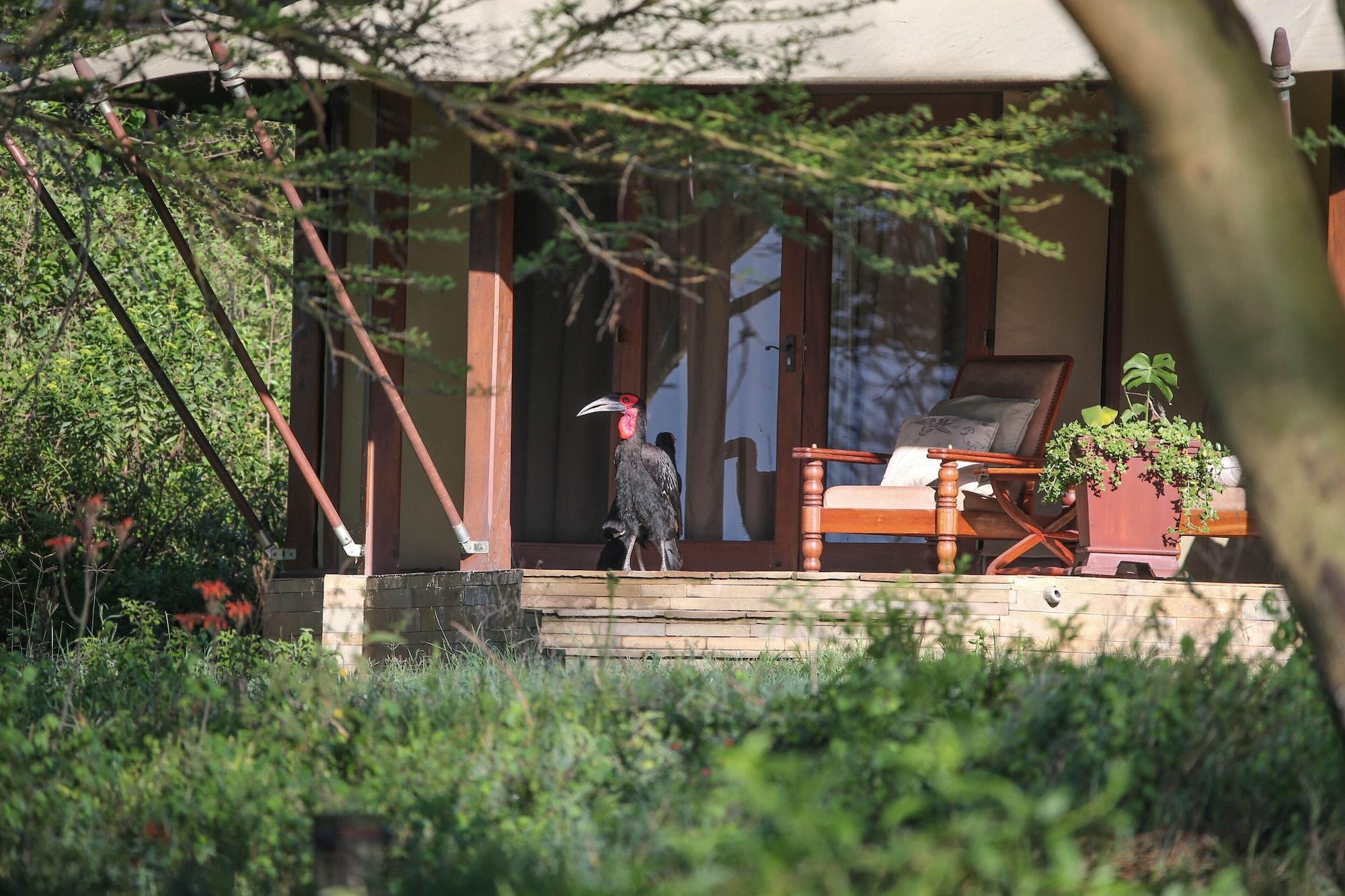 Lake Elmenteita Serena Camp Exteriér fotografie