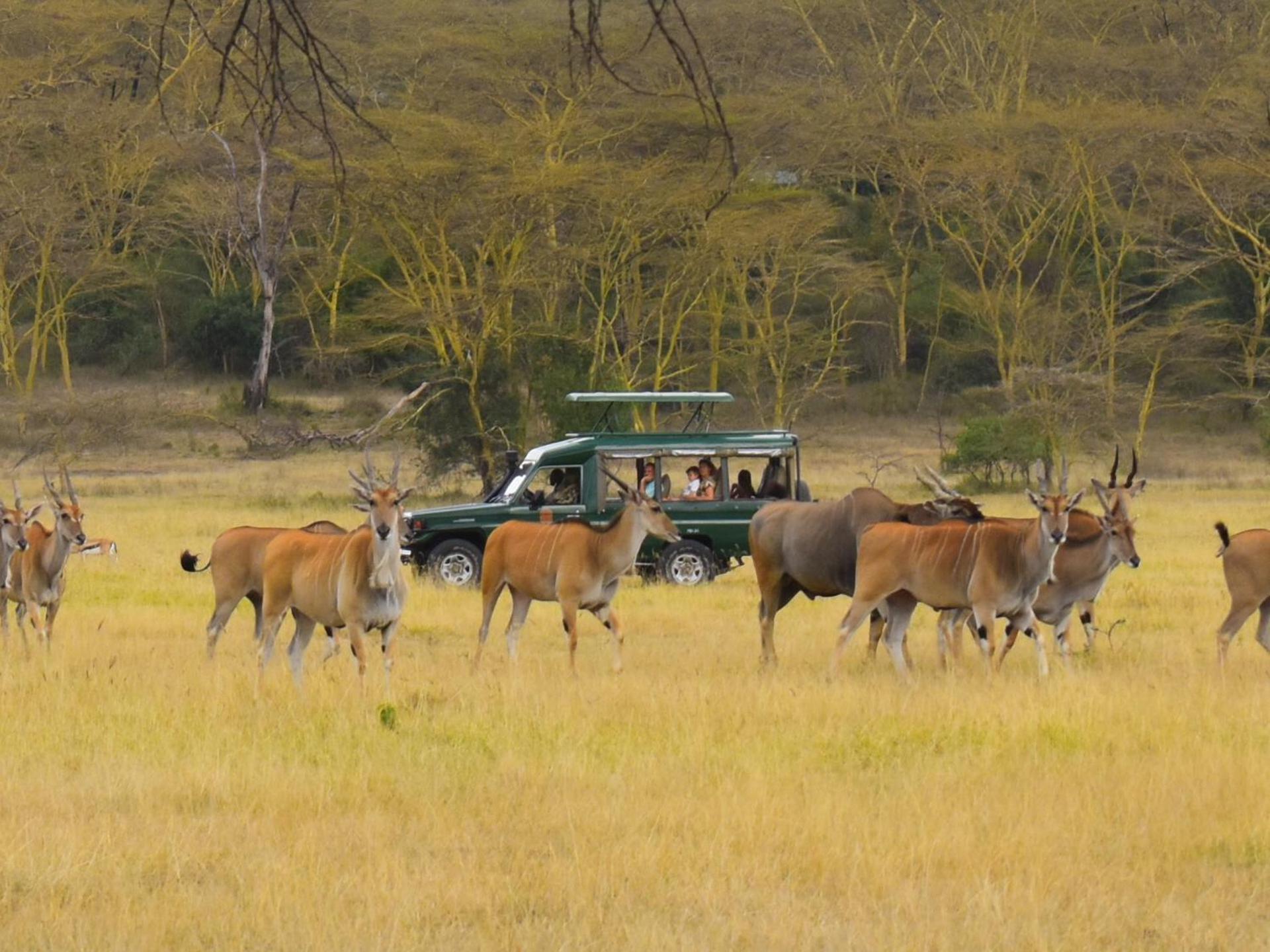 Lake Elmenteita Serena Camp Exteriér fotografie